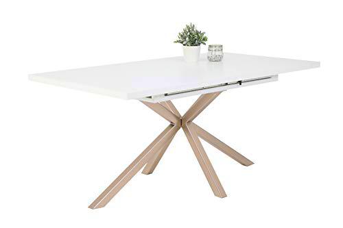 Mesa de Comedor Malou, Decorativa, Estructura de araña de Metal