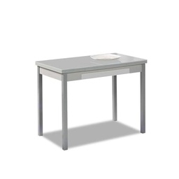 ASTIMESA Mesa de Cocina con Alas de Cristal Gris 100x60 cms